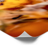 Squirrel Wild Animal Loving Portrait  Poster (Hoek)