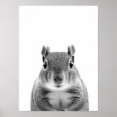 Squirrel Woodland Modern Portret zwart wit Poster (Voorkant)