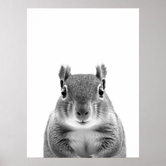 Squirrel Woodland Modern Portret zwart wit Poster (Voorkant)