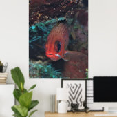Squirrelfish Portret Poster (Thuiskantoor)
