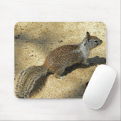 Squirrell Muismat (Met muis)