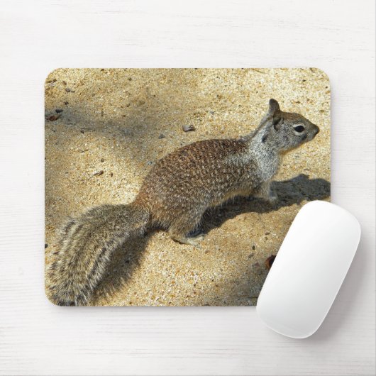 Squirrell Muismat (Met muis)