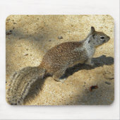 Squirrell Muismat (Voorkant)