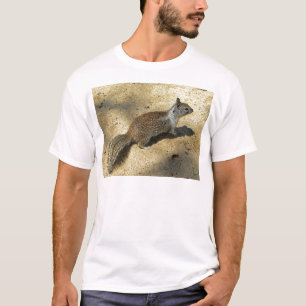 Squirrell T-shirt