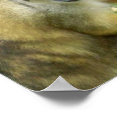 Squirrrel Monkey Poster (Hoek)