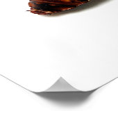 Squish & Squash, The Hissers Poster (Hoek)