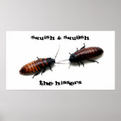 Squish & Squash, The Hissers Poster (Voorkant)