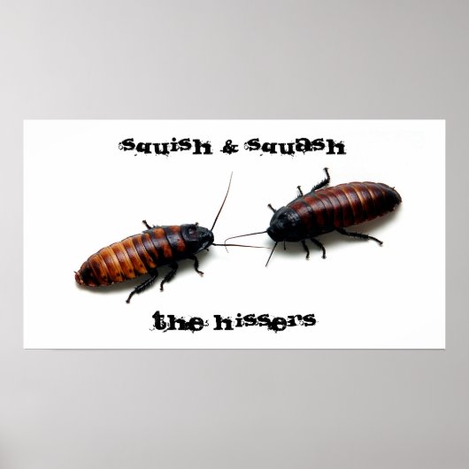 Squish & Squash, The Hissers Poster (Voorkant)