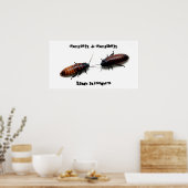 Squish & Squash, The Hissers Poster (Keuken)