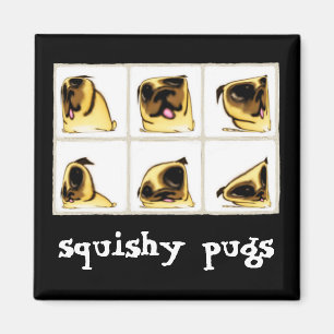 Squishy Pugs-magneet Magneet