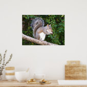 Squrrel Eating Bread Poster (Keuken)