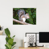 Squrrel Eating Bread Poster (Thuiskantoor)