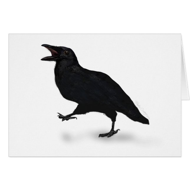 Sqwarking Crow (Voorkant Horizontaal)