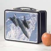 SR-71 BLACKBIRD (In situ)