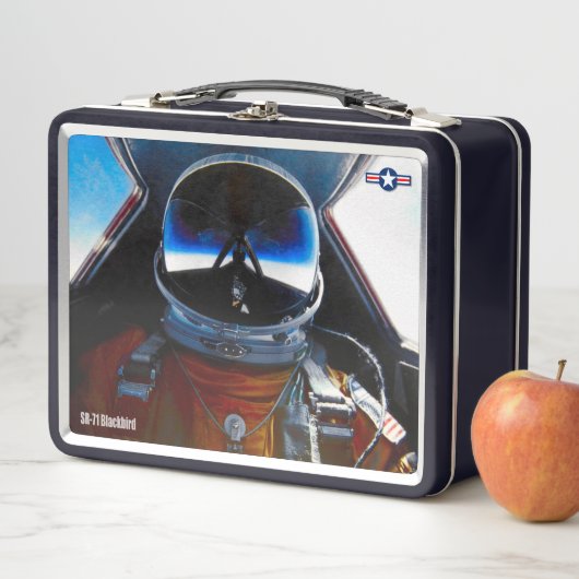 SR-71 BLACKBIRD (In situ)