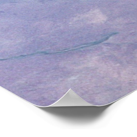 SR-71 Blackbird Poster (Hoek)