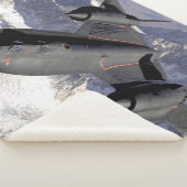 SR-71 BLACKBIRD SPIONAGEVLIEGTUIG SHERPA DEKEN (3/4)