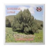 SRD007 LURAS Millennial Olive Trees, Tegeltje (Voorkant)