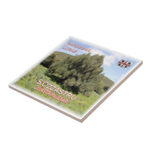 SRD007 LURAS Millennial Olive Trees, Tegeltje