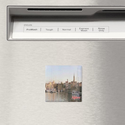 SRD067 ALGHERO, Panorama, Sardinië, Koelkast Magneet (Insitu (Vaatwasser))