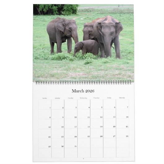 Sri Lanka 2025 groot Kalender (Mar 2026)
