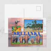 Sri Lanka Briefkaart (Voorkant / Achterkant)