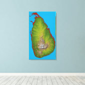 Sri Lanka Canvas Afdruk (Insitu (Houten vloer))