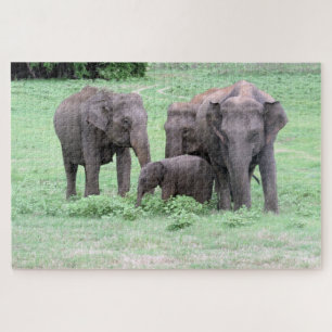 Sri Lanka olifant familie Legpuzzel