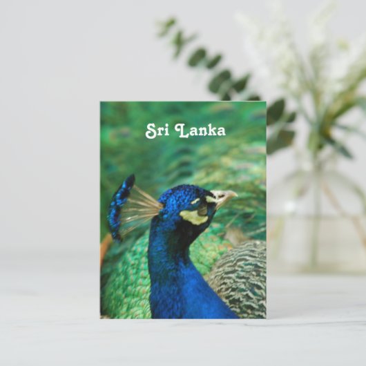 Sri Lanka Peafowl Briefkaart (Staand voorkant)