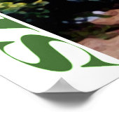 Sri Lanka Poster (Hoek)