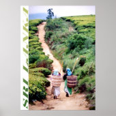 Sri Lanka Poster (Voorkant)