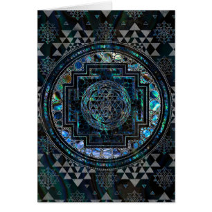 Sri Lanka, Sri Lanka, Sri Lanka, Abalone Shell en 