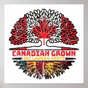 Sri Lanka Sri Lankaanse Canadese boomwortels Poster
