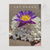 Sri Lanka tempelbloem aanbieden briefkaart (Voorkant)