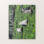 sri lanka - theetelers legpuzzel (Verticaal)