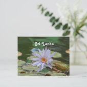 Sri Lanka Water Lily Briefkaart (Staand voorkant)