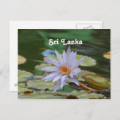 Sri Lanka Water Lily Briefkaart (Voorkant / Achterkant)