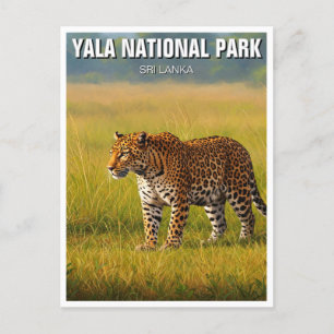 Sri Lanka Yala Nationaal Park Reizen Briefkaart