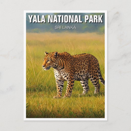 Sri Lanka Yala Nationaal Park Reizen Briefkaart (Voorkant)