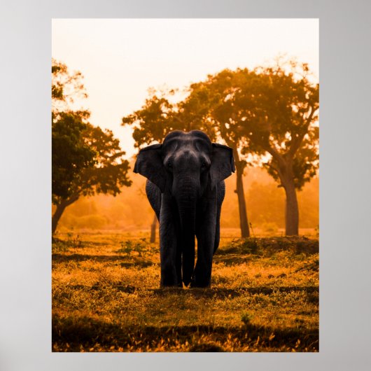 Sri Lankaanse olifant op Sunset Poster (Voorkant)