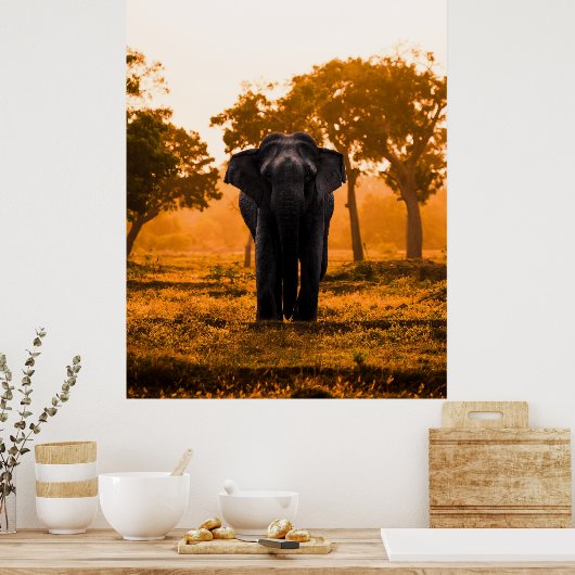 Sri Lankaanse olifant op Sunset Poster (Keuken)