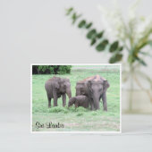 sri lankaanse olifanten briefkaart (Staand voorkant)