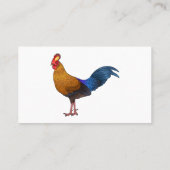 Srilankaanse junglefowl cartoon illustratie visitekaartje (Achterkant)