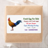 Srilankaanse junglefowl, vers ei-bord te koop aang etiket (Insitu)