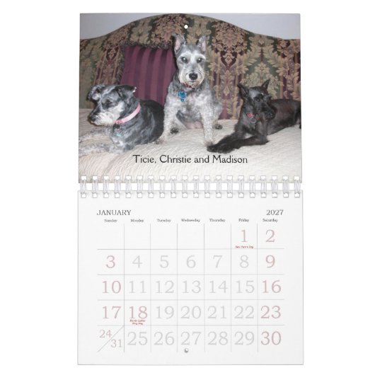 SRM-agenda 2011 Kalender (Jan 2027)