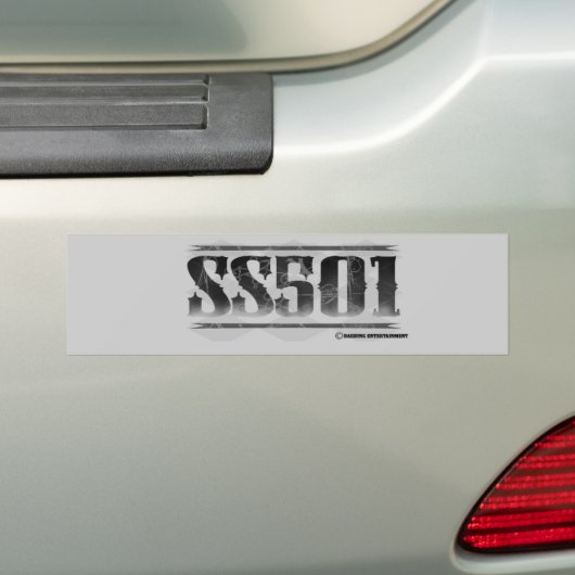 SS501 BUMPERSTICKER (Op auto)