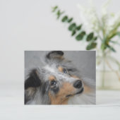 SS Blue Merle White en Tan briefkaart (Staand voorkant)