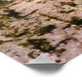 SS Manitou in Harbor Point, Michigan Poster (Hoek)