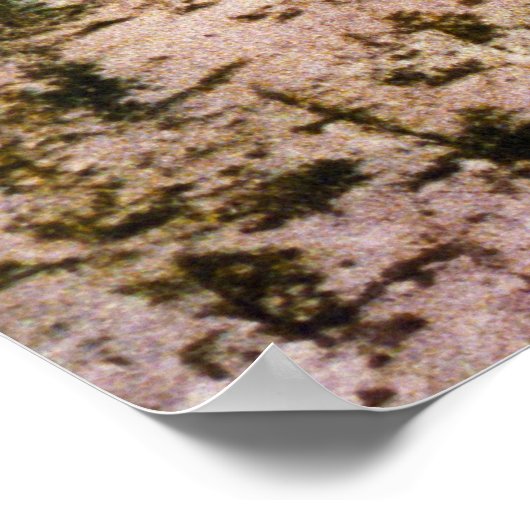 SS Manitou in Harbor Point, Michigan Poster (Hoek)