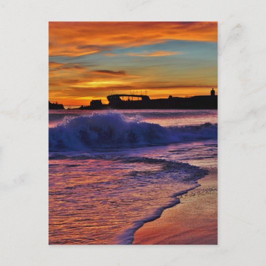 SS Palo Alto. Briefkaart (Voorkant)